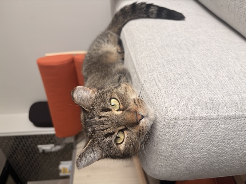 Gabs, relaxing on the couch