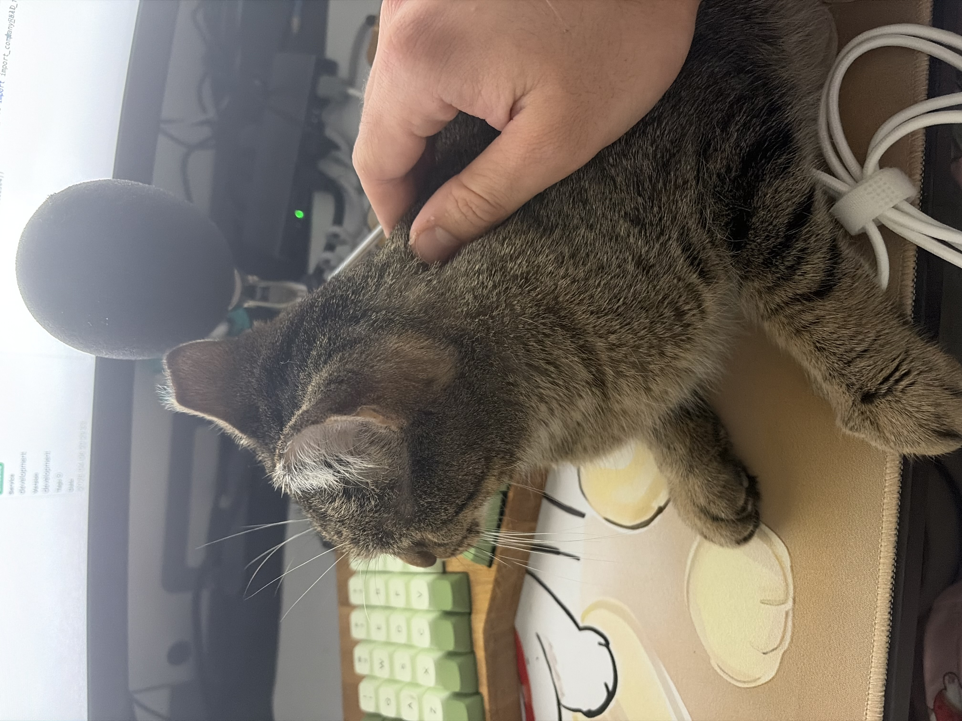 The real engineer